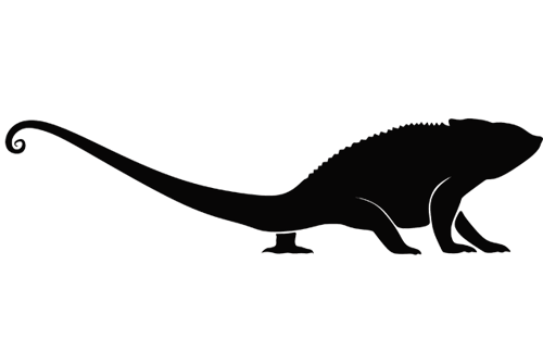 Logo da loja CHAMELEON STYLE