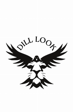 Logo da loja DILL LOOK