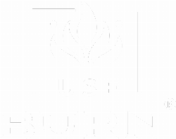 Logo da loja Use Burn