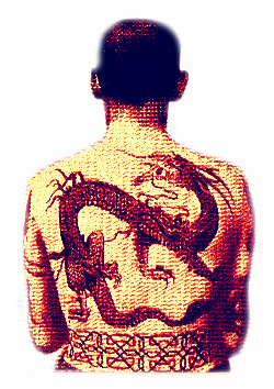 Logo da loja gavbsxd