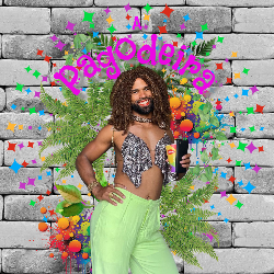 Logo da loja A Pagodeira