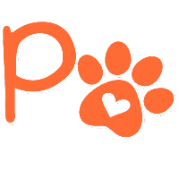 Petizito - Camisetas e produtos personalizados