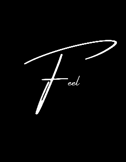Logo da loja Feel