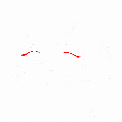 Loja do Gato Culto - Camisetas e produtos personalizados