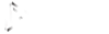 Dedicação Delta - Camisetas e produtos personalizados