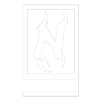 Netonii - Camisetas e produtos personalizados