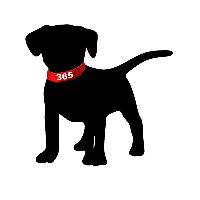 365 store - Camisetas e produtos personalizados