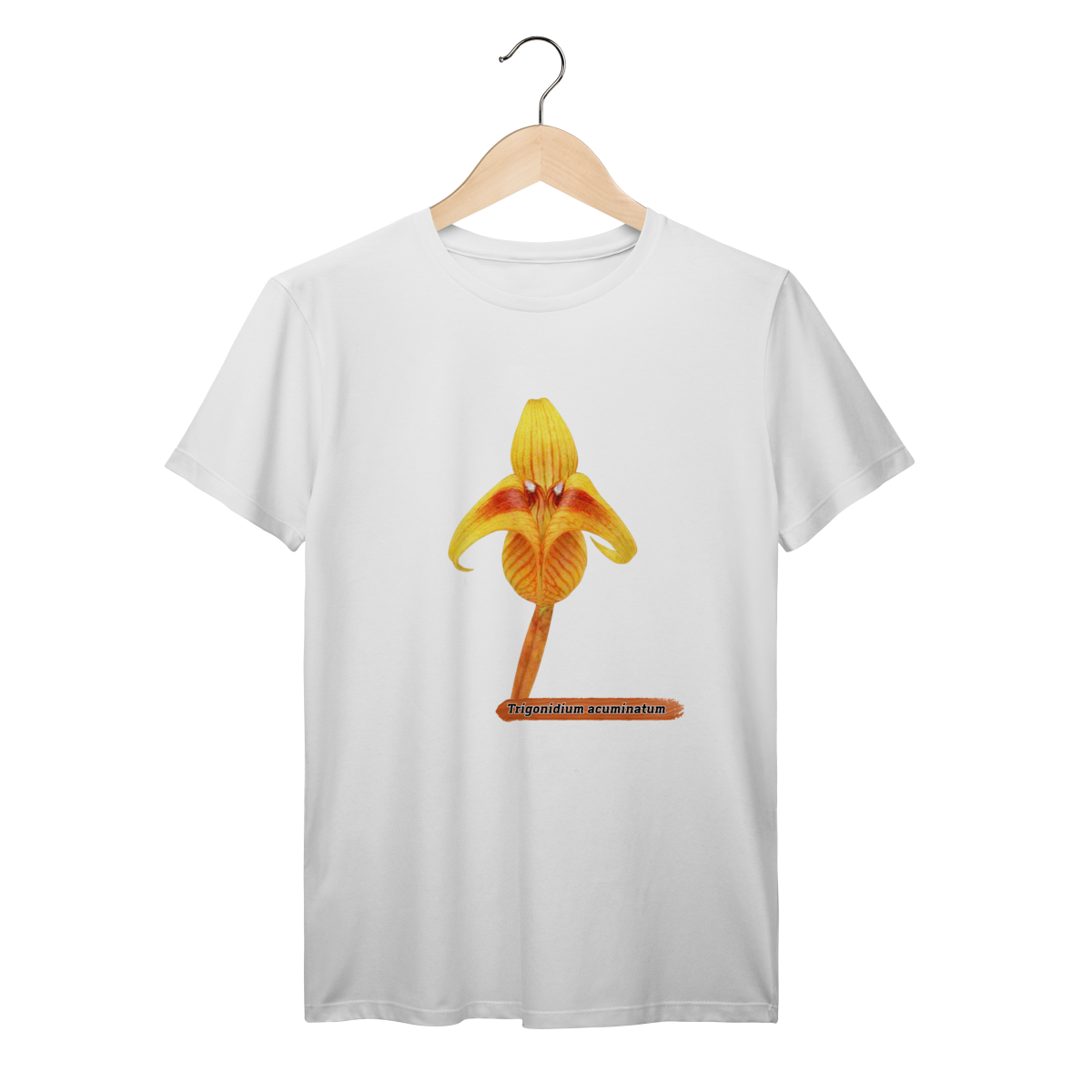Camiseta Orquídea - Trigonidium acuminatum