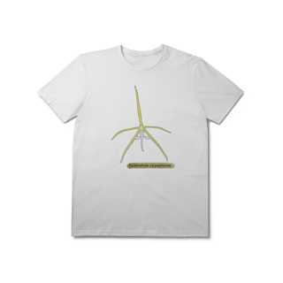 Nome do produto Camiseta Orquídea - Epidendrum carpophorum