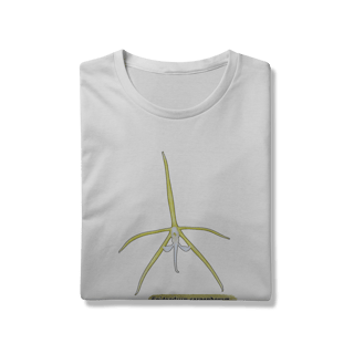 Nome do produto Camiseta Orquídea - Epidendrum carpophorum