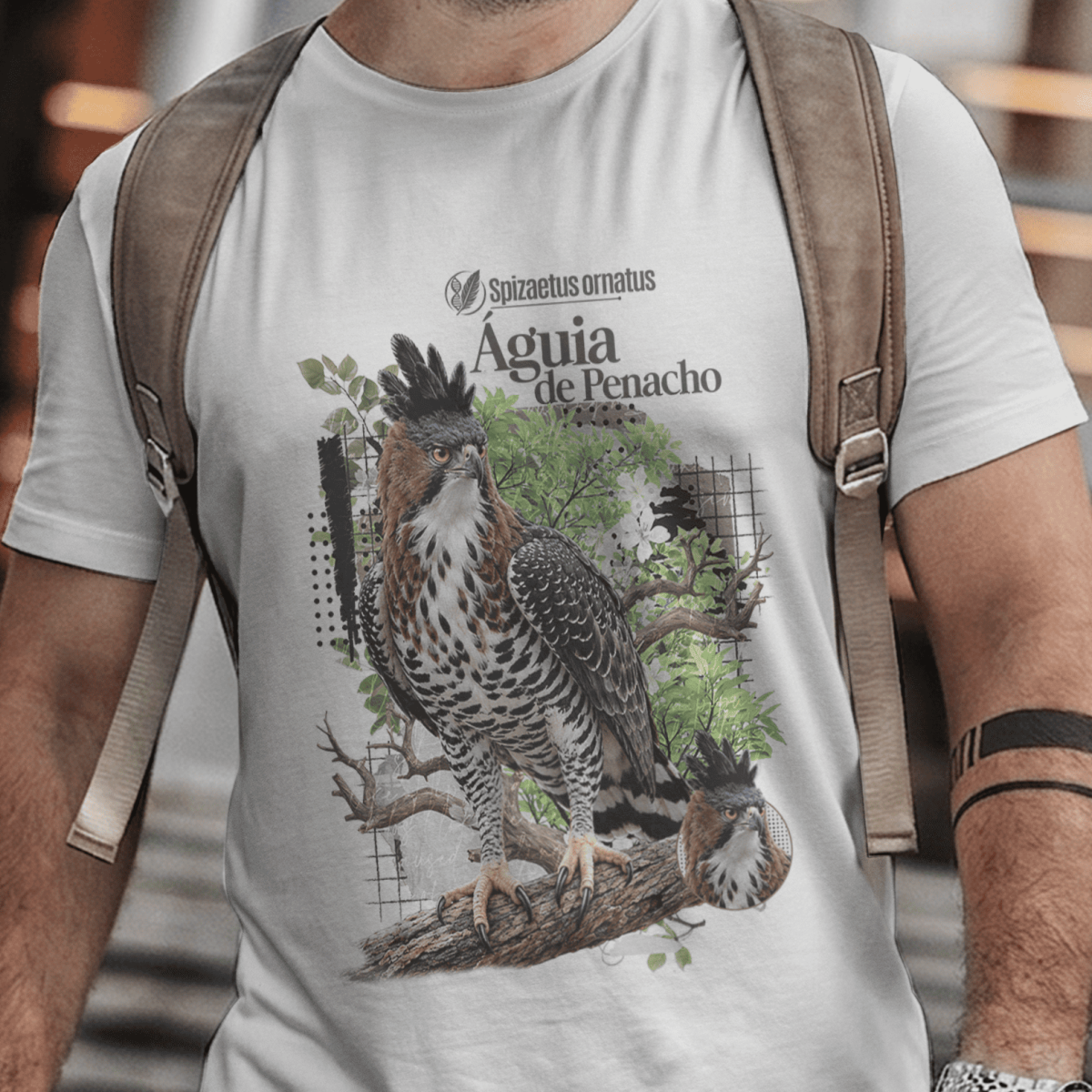 Nome do produto: Camiseta Unissex - Aves de Rapina - Gavião de Penacho