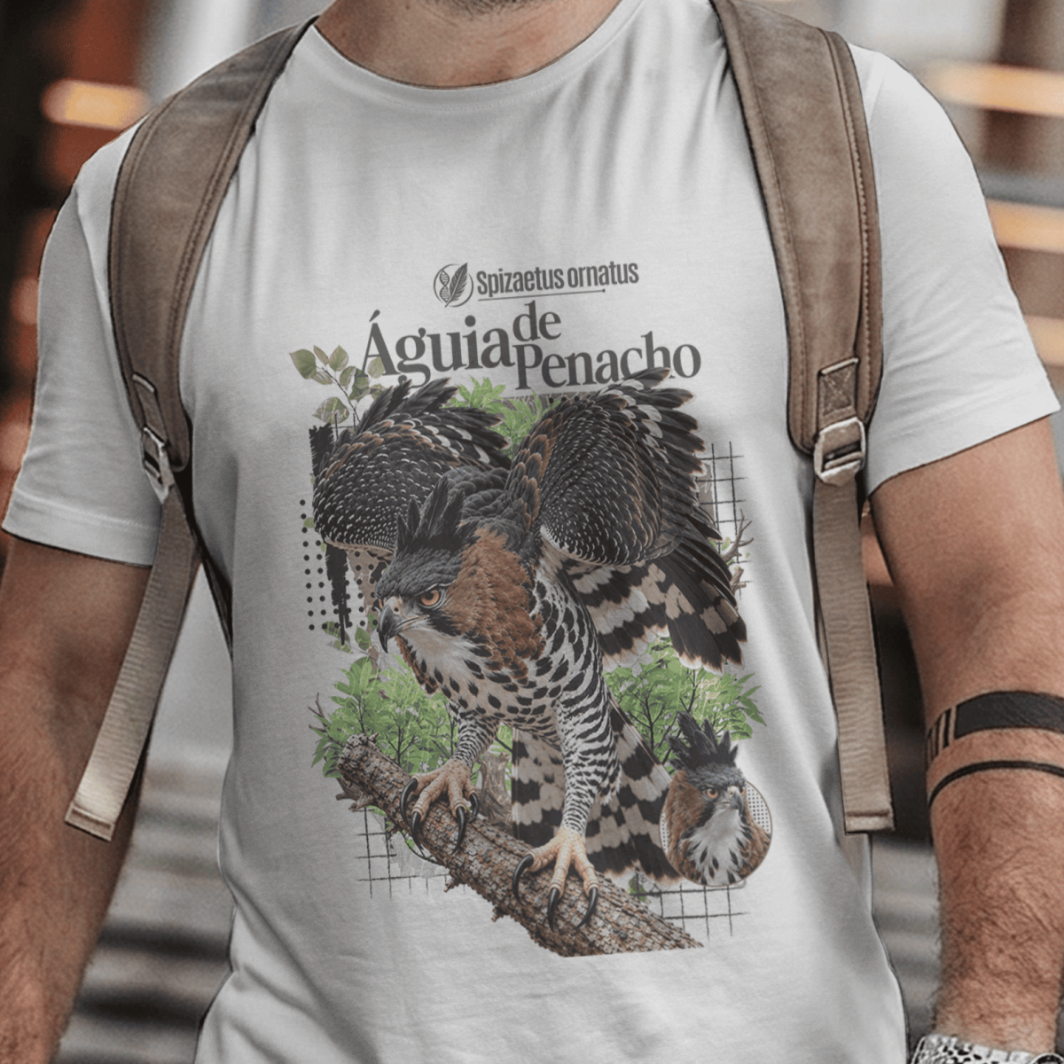 Camiseta Unissex - Aves de Rapina - Águia de Penacho