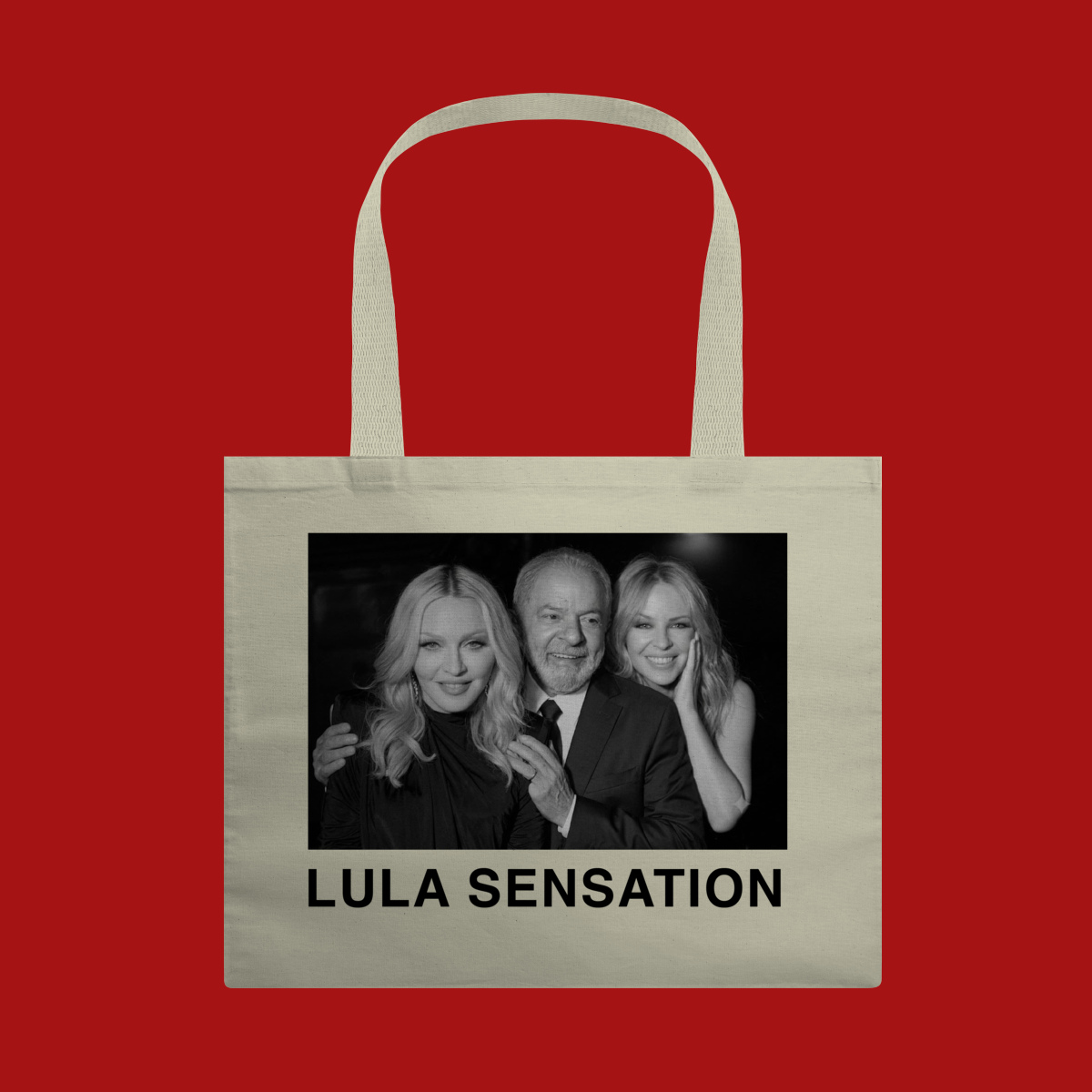 EcoBag 