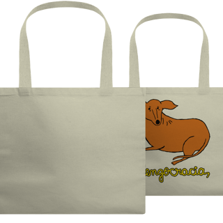 Nome do produto Ecobag Dengocracia