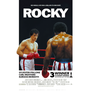 Nome do produto Rocky | Algodão Prime