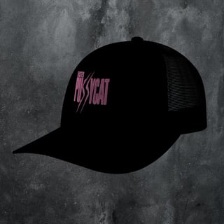 Nome do produtoFASTER PUSSYCAT BONÉ COM TELA