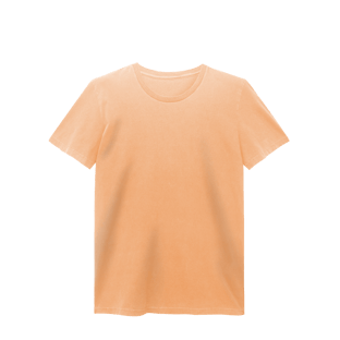 Nome do produtoCAMISA ESTONADA BASICA