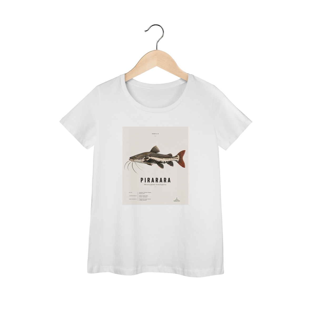 Pirarara feminina