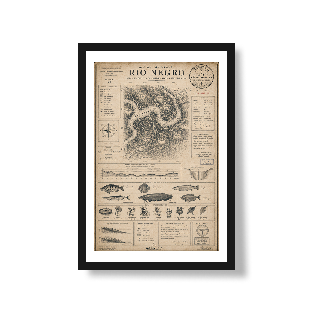 Poster Rio Negro*