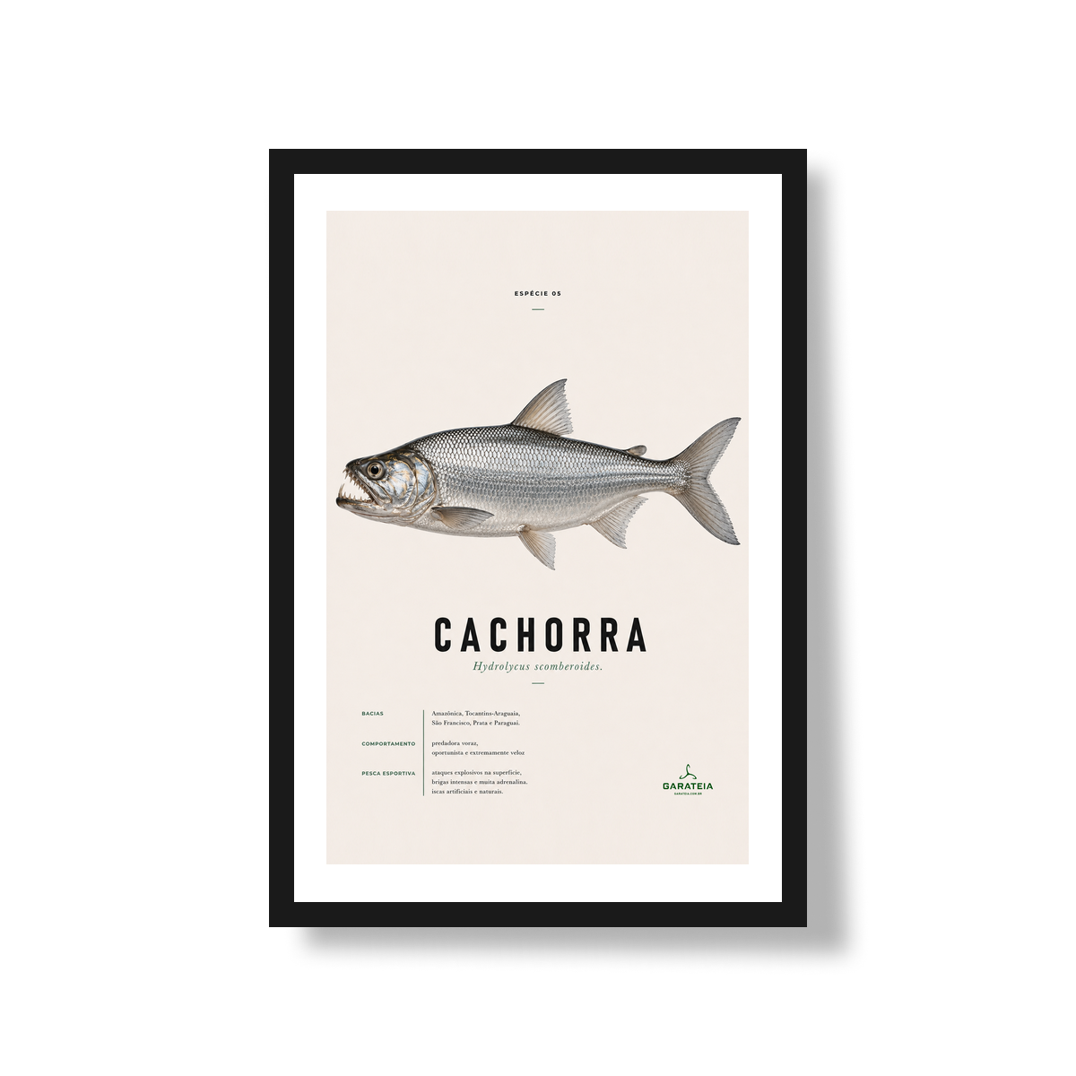 Poster Cachorra*