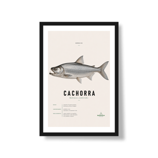 Poster Cachorra*