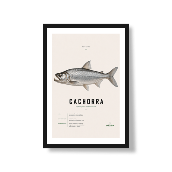 Poster Cachorra*