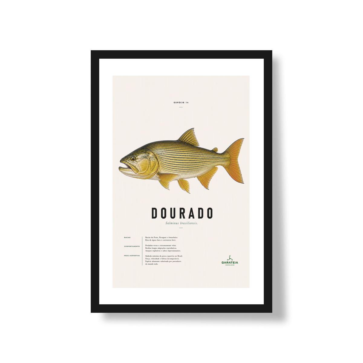 Poster Dourado*
