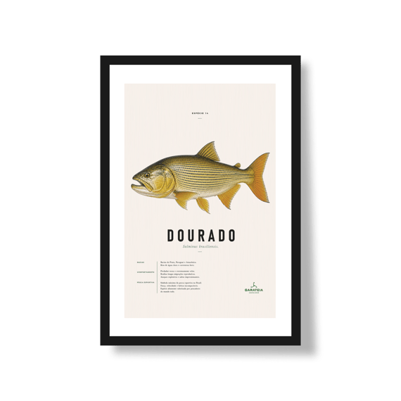 Poster Dourado*