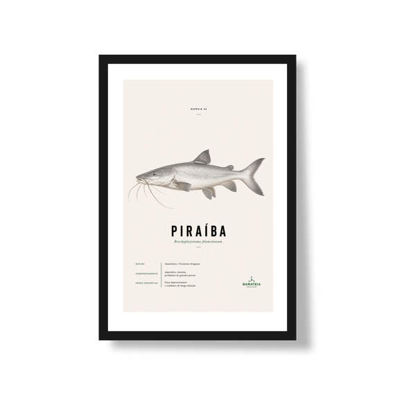 Poster Piraíba*