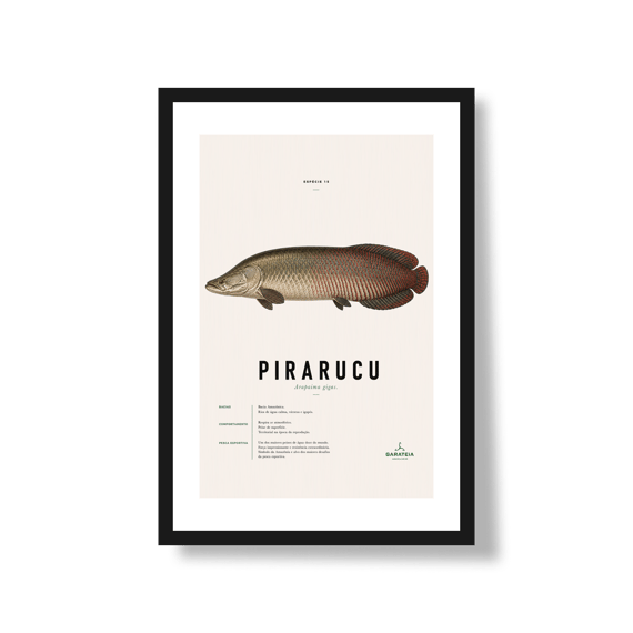 Poster Pirarucu*