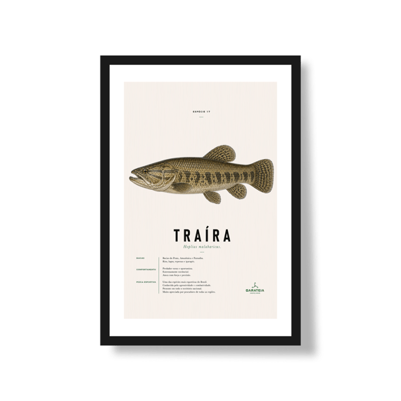 Poster Traíra*
