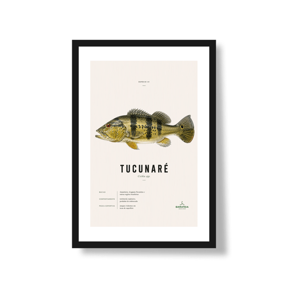 Poster Tucunaré*