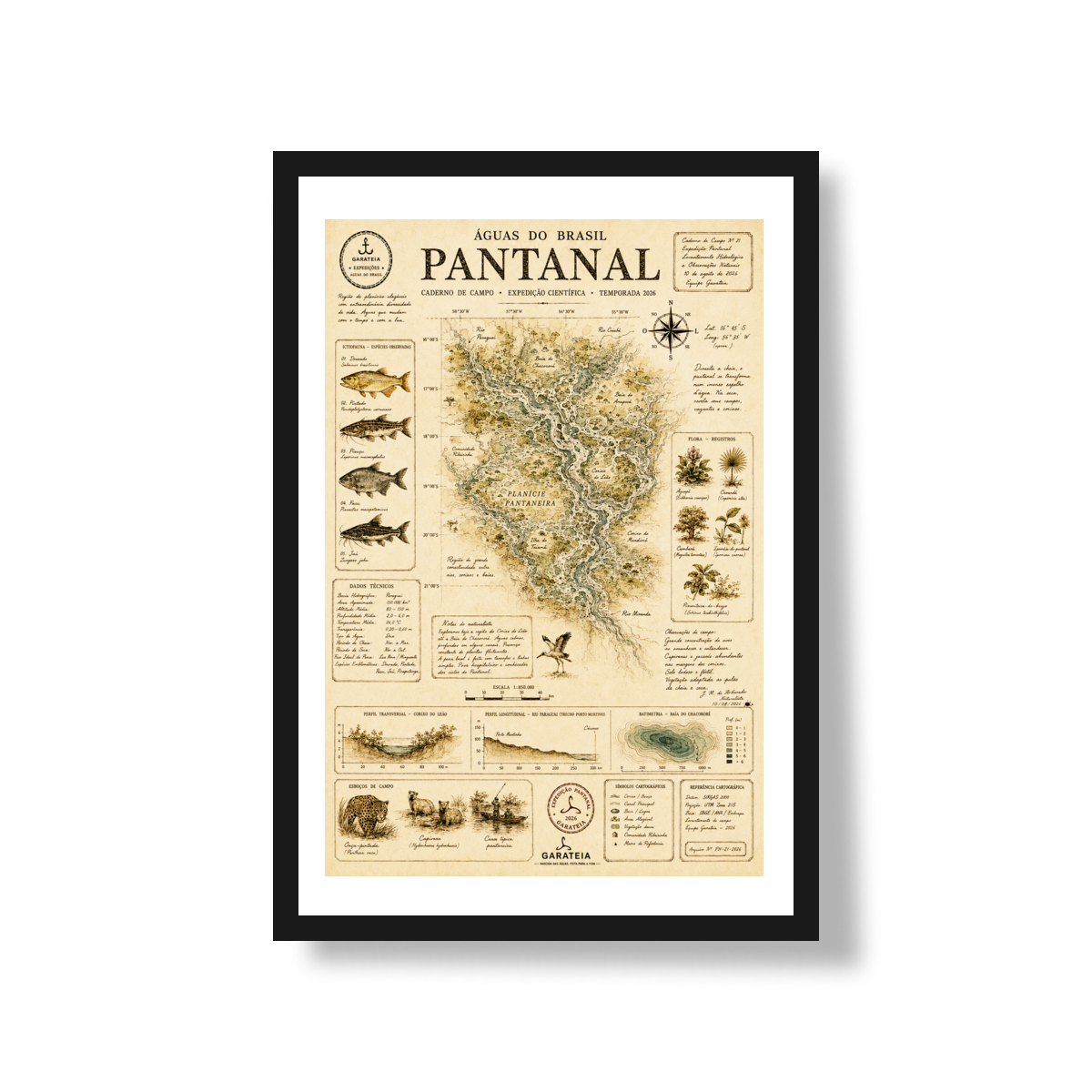 Poster Pantanal*
