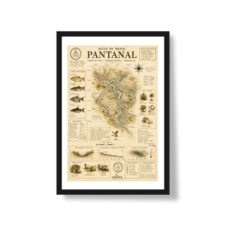 Nome do produto Poster Pantanal*