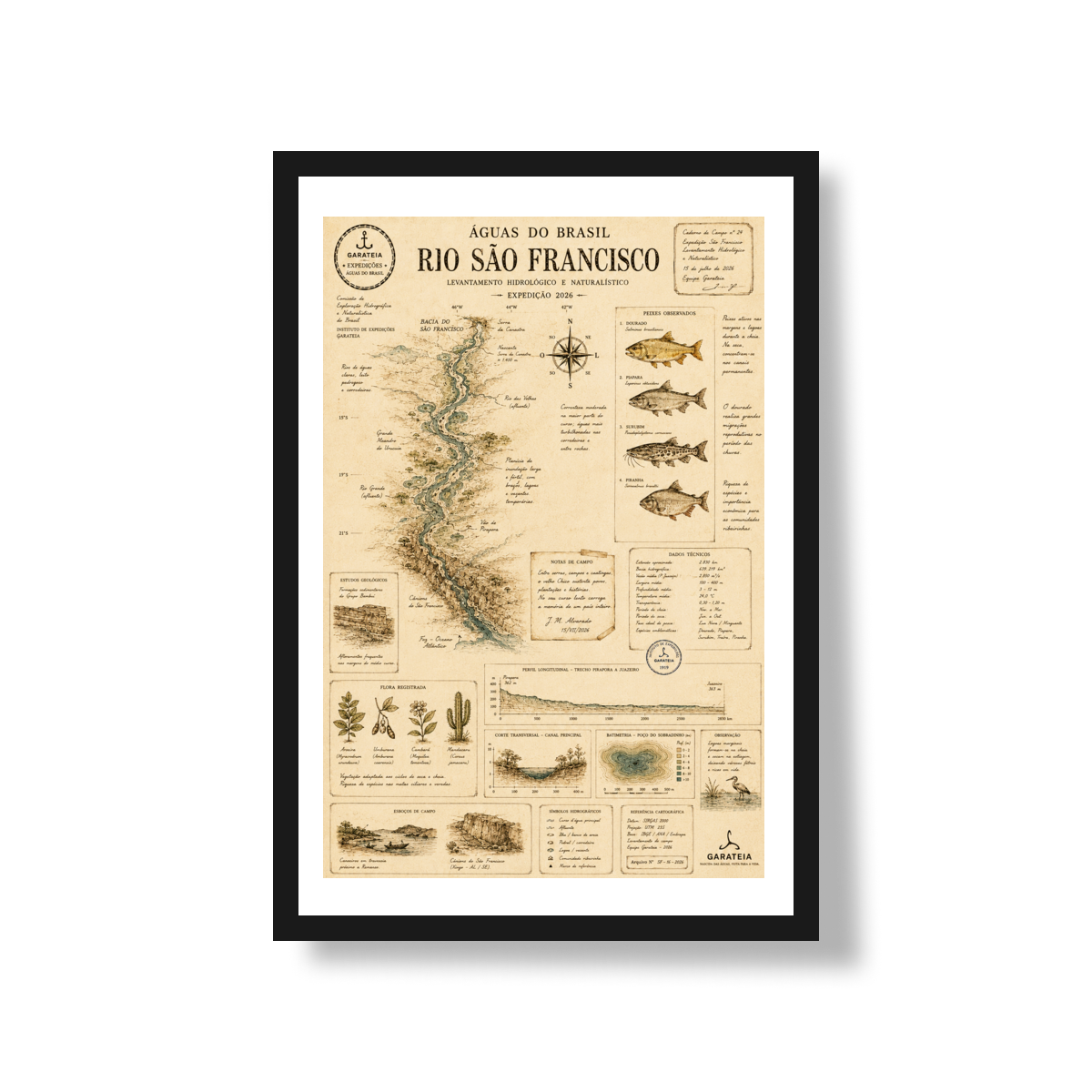Poster São Francisco*