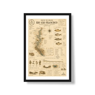 Poster São Francisco*
