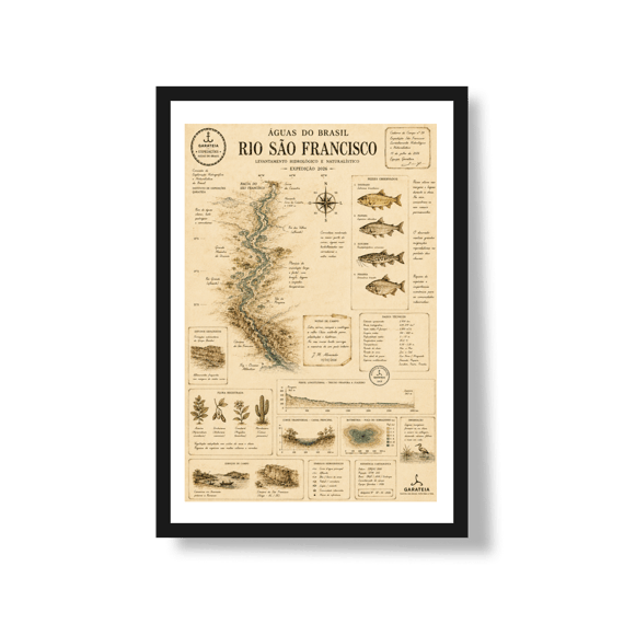 Poster São Francisco*