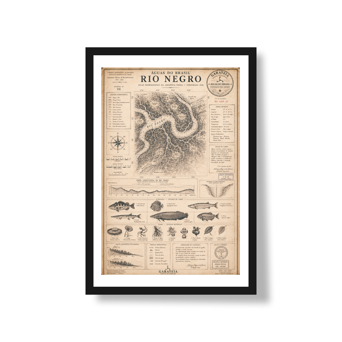 Poster Rio Negro*