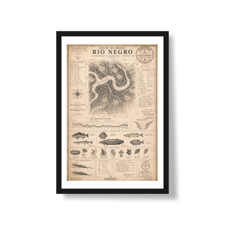Poster Rio Negro*
