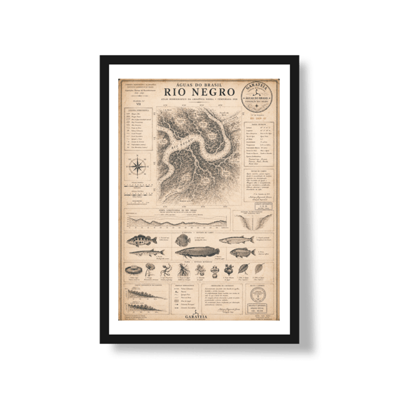 Poster Rio Negro*