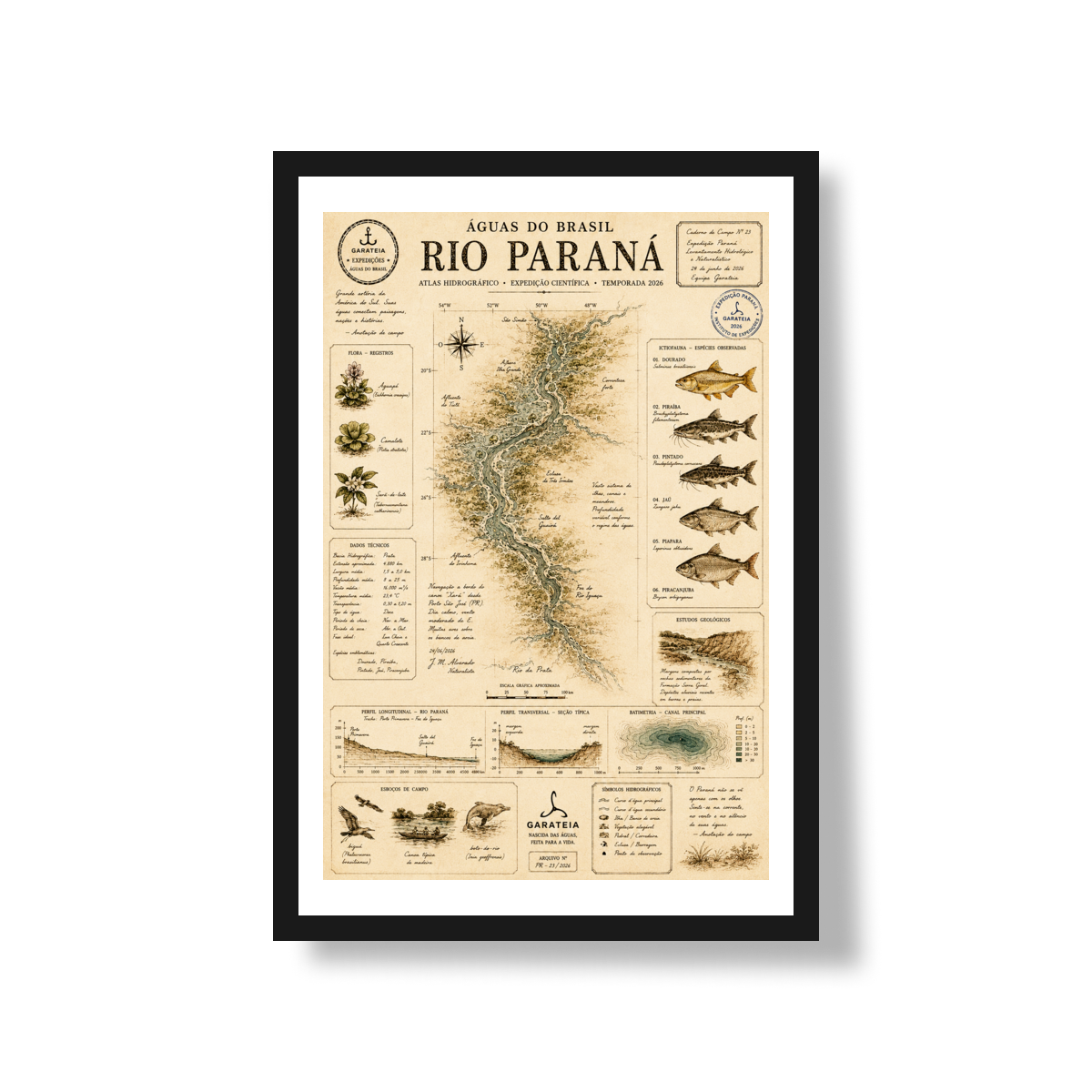 Poster Rio Paraná*