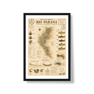 Poster Rio Paraná*