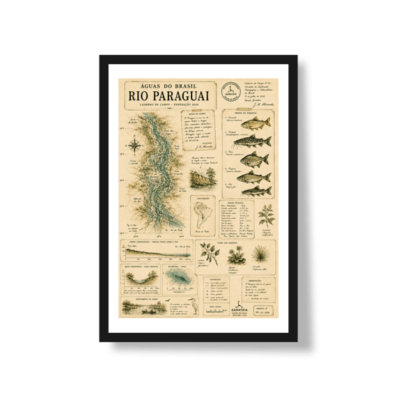 Poster Rio Paraguai*