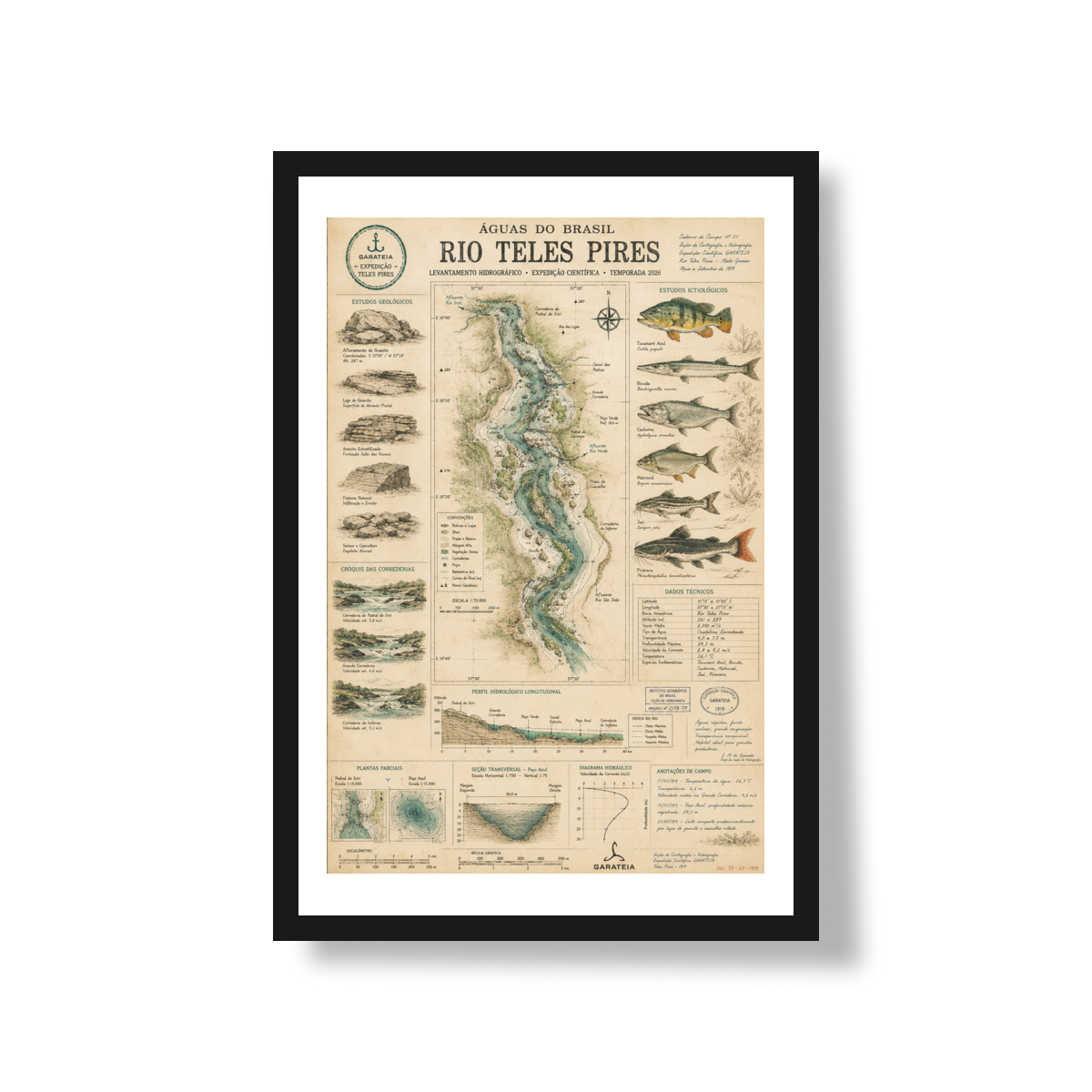 Poster Rio Teles Pires*