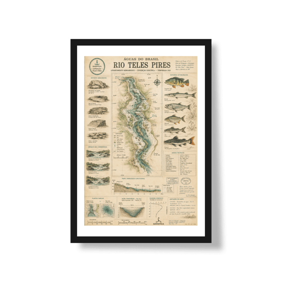 Poster Rio Teles Pires*
