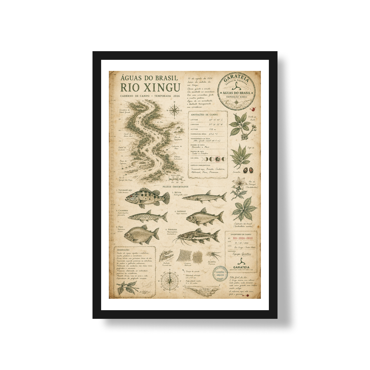 Poster Rio Xingu*