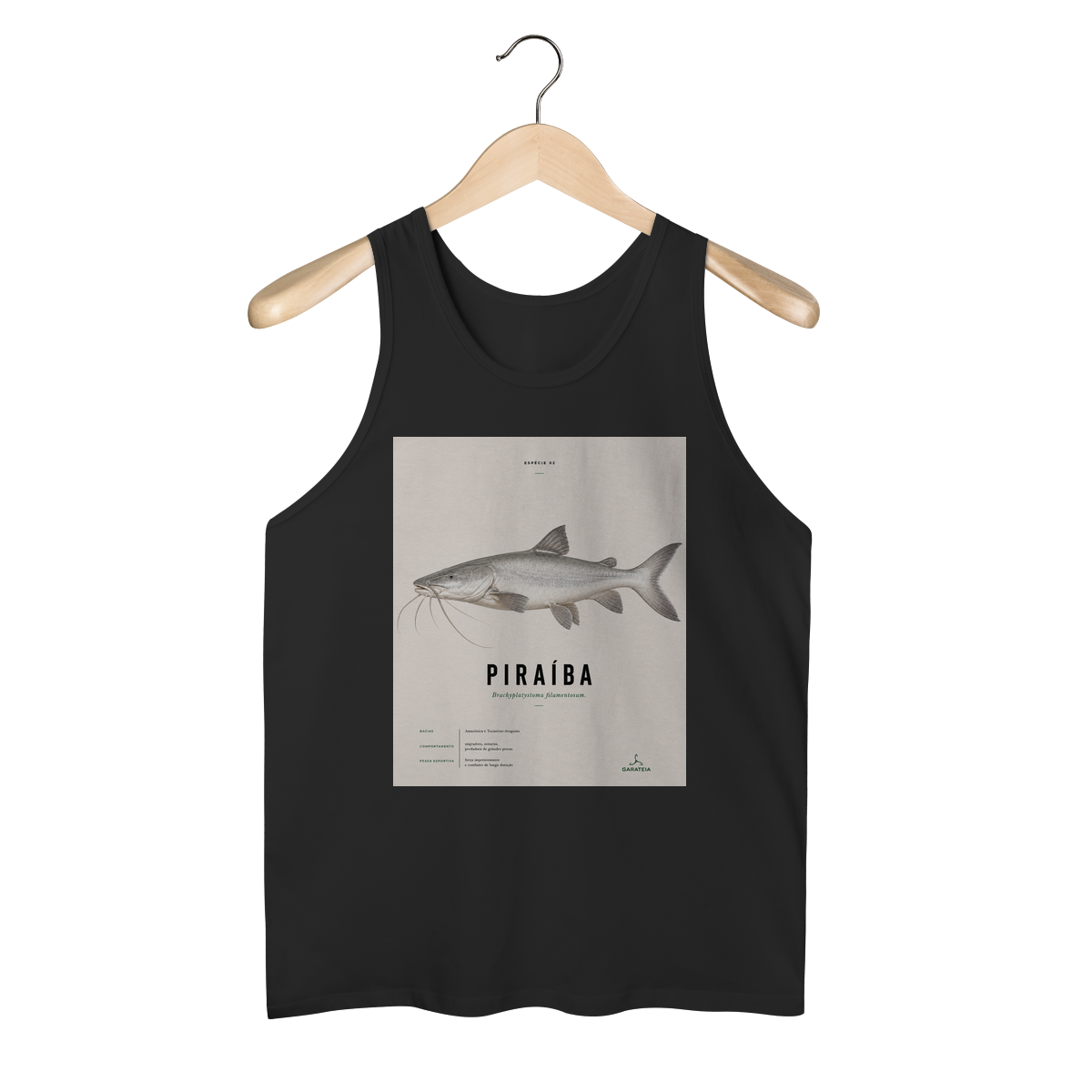 Piraíba Regata 