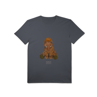 Nome do produto T-Shirt Pima Filhote Mamute