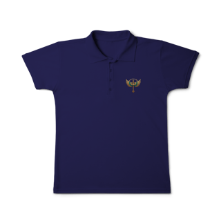 Nome do produto POLO FEM  - BRASIL DE DRONE 