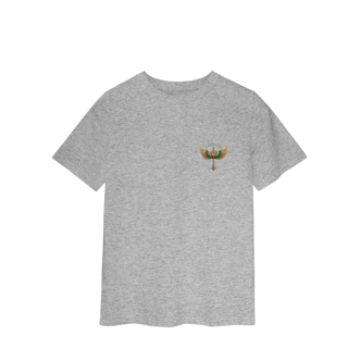 Nome do produto CLASSIC INF - BRASIL DE DRONE 